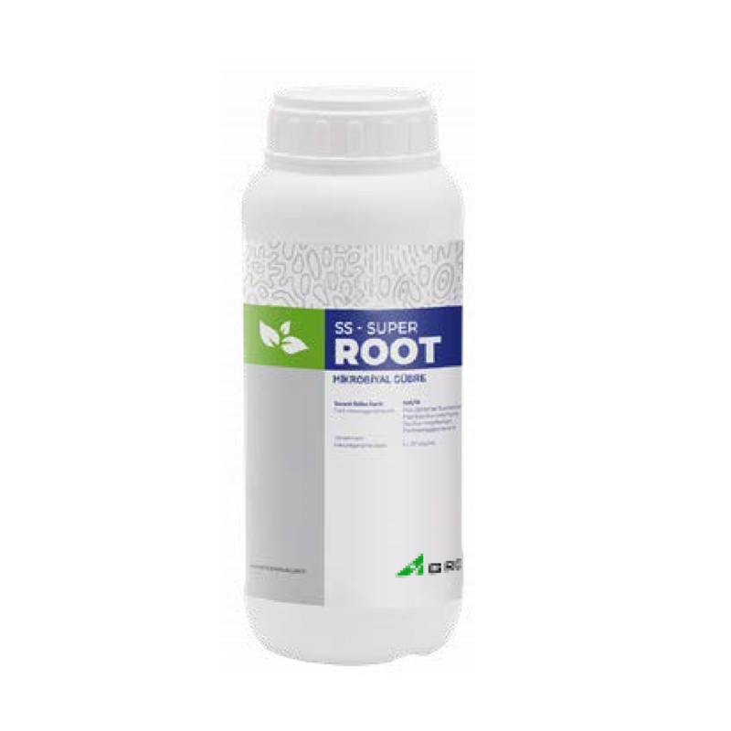 root kopya